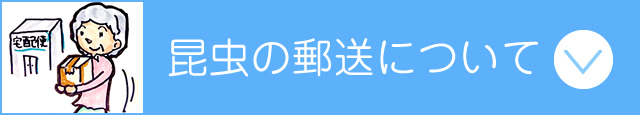 昆虫の郵送方法について