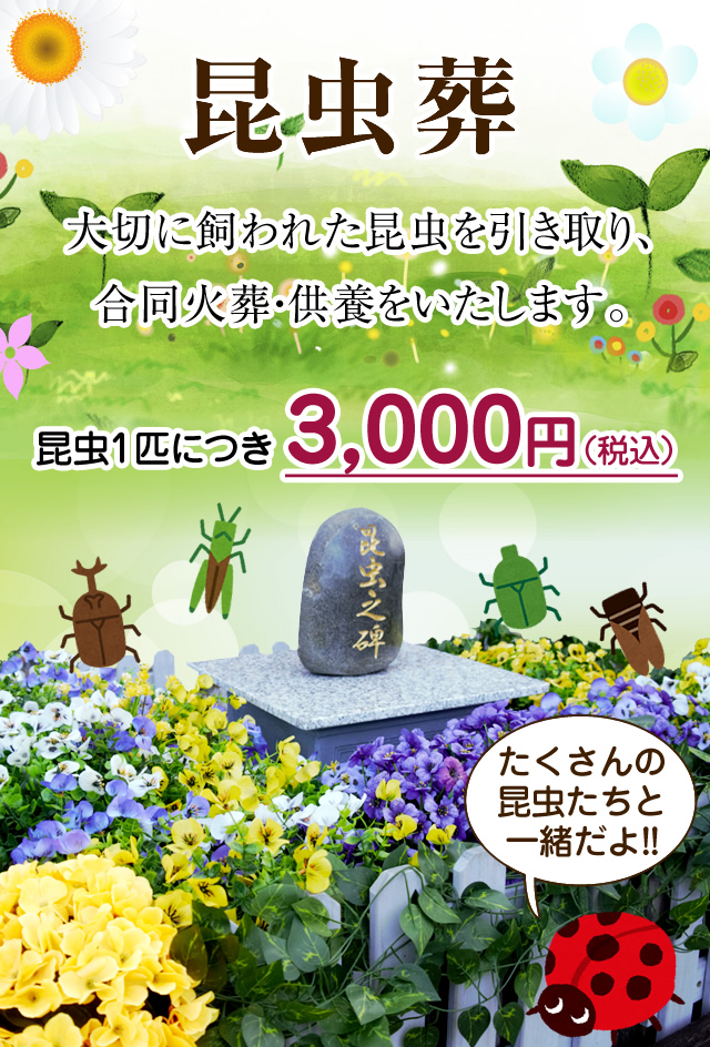 昆虫の埋葬供養を承ります。
