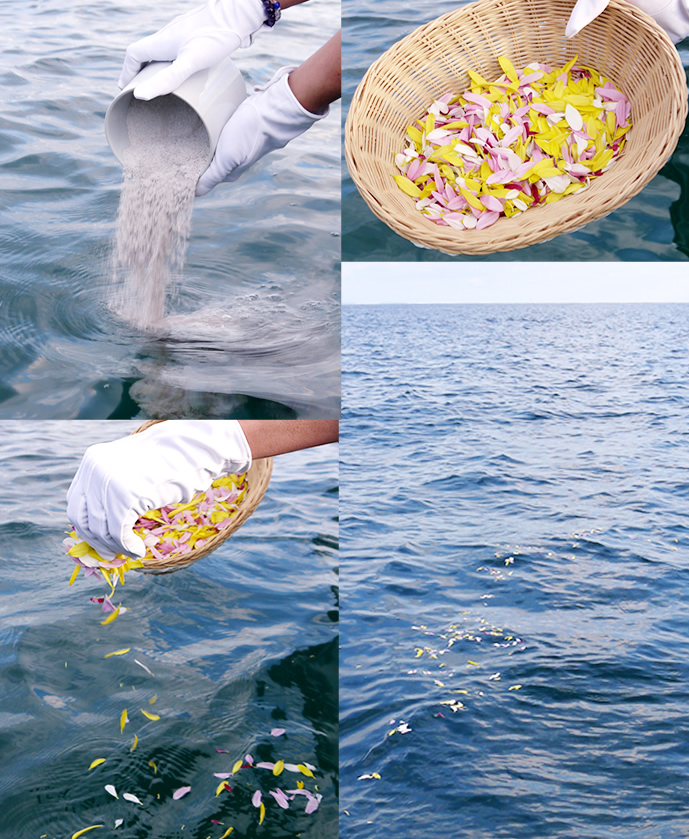 散骨の風景写真