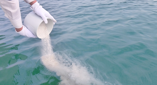 ペットの散骨を行う風景