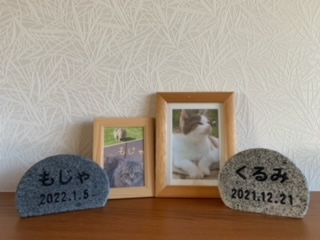 猫の墓石写真