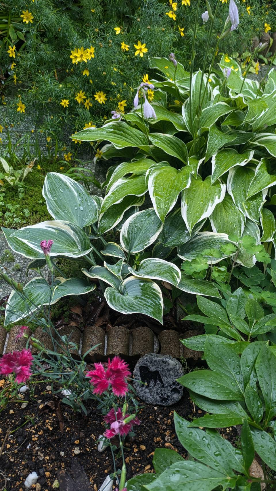 ペットの墓石写真