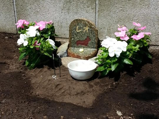 犬（コーギー）の墓石写真