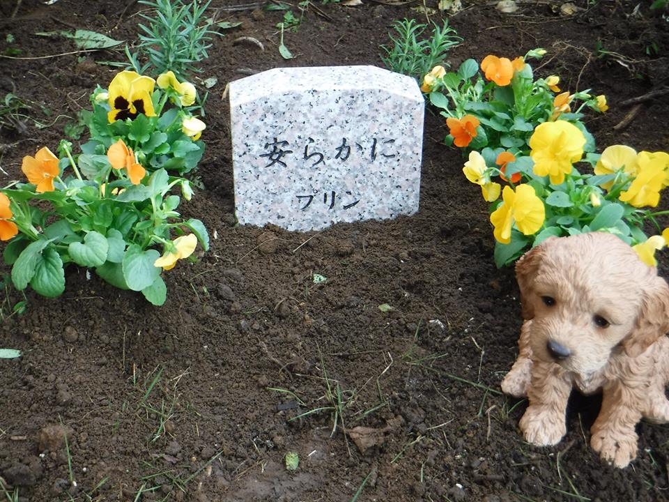 犬の墓石写真