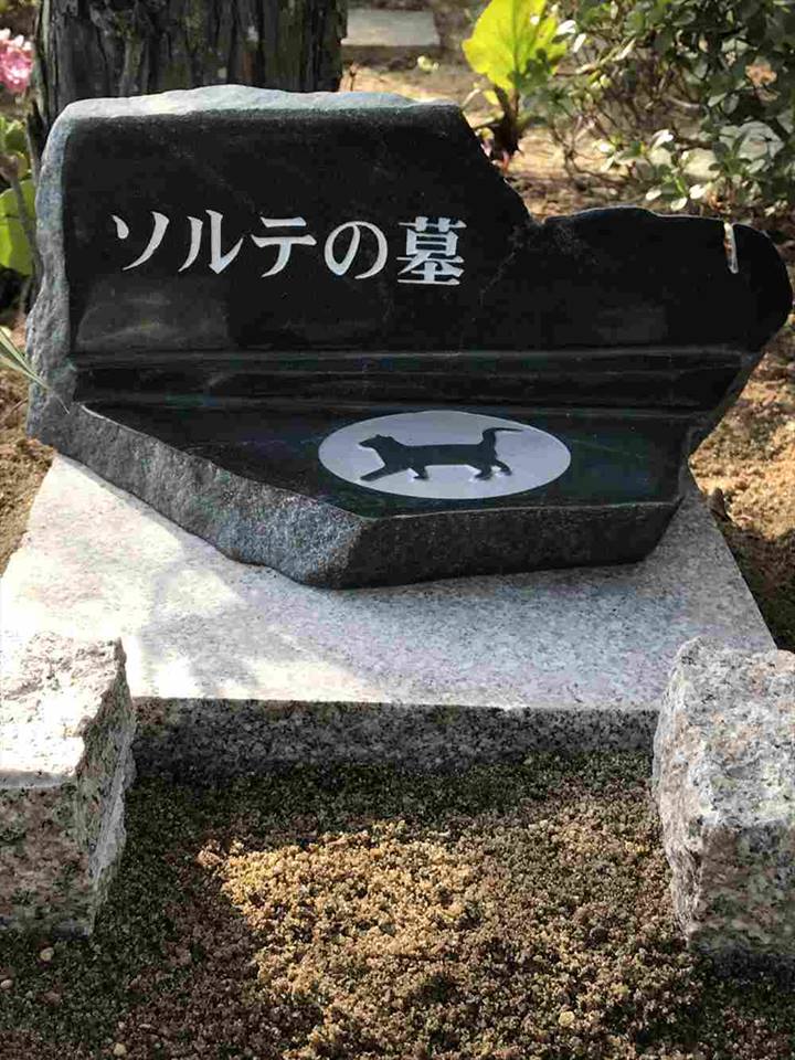 猫の墓石写真